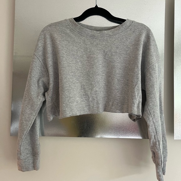 Zara Cropped Crewneck with flouncy Back - Picture 1 of 3
